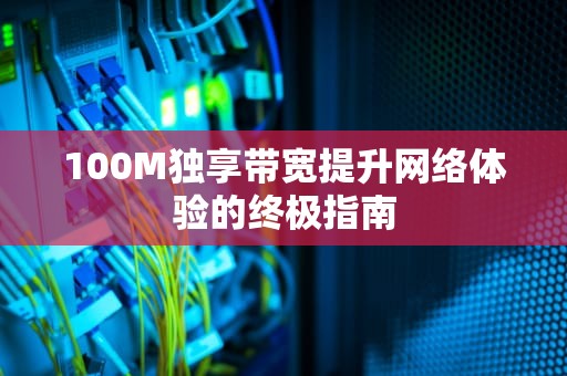 100M独享带宽提升网络体验的终极指南