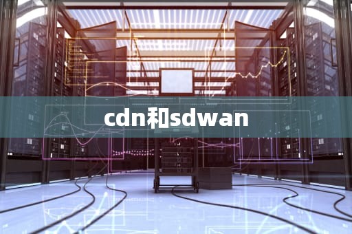cdn和sdwan