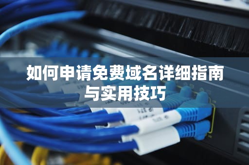 如何申请免费域名详细指南与实用技巧