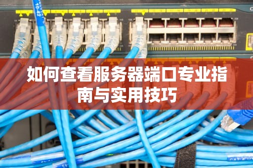 如何查看服务器端口专业指南与实用技巧