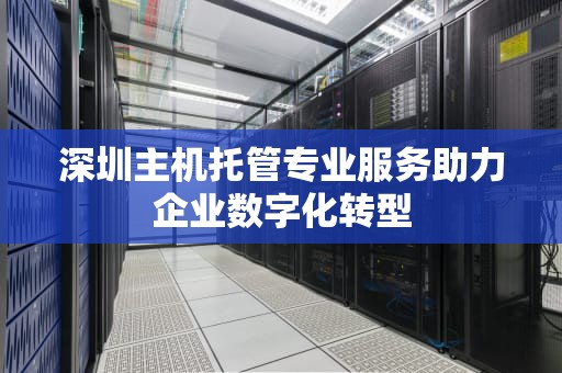 深圳主机托管专业服务助力企业数字化转型