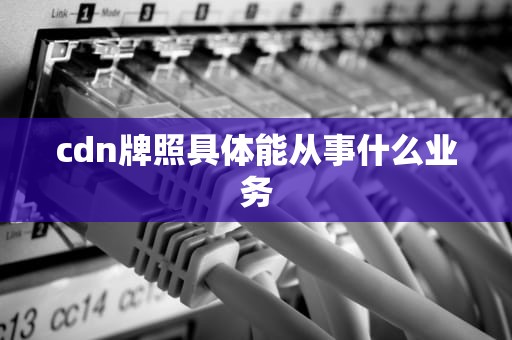 cdn牌照具体能从事什么业务