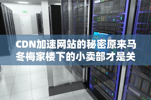 CDN加速网站的秘密原来马冬梅家楼下的小卖部才是关键？
