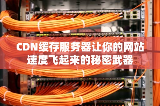 CDN缓存服务器让你的网站速度飞起来的秘密武器