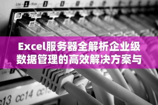 Excel服务器全解析企业级数据管理的高效解决方案与实战指南