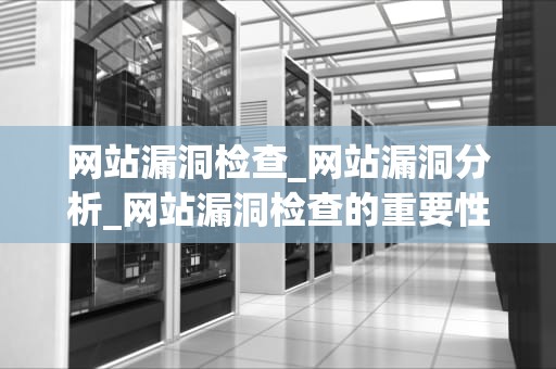 网站漏洞检查_网站漏洞分析_网站漏洞检查的重要性及实施策略