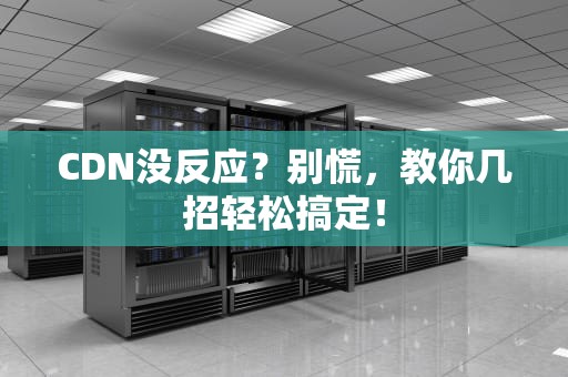 CDN没反应？别慌，教你几招轻松搞定！