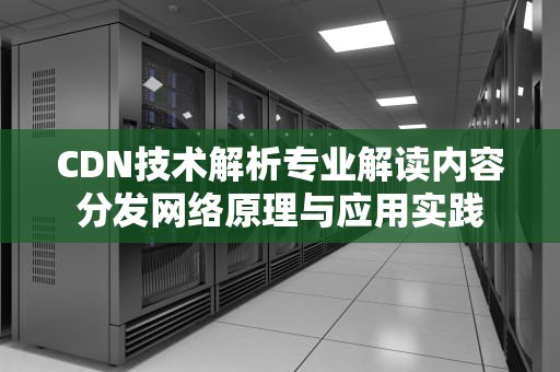 CDN技术解析专业解读内容分发网络原理与应用实践