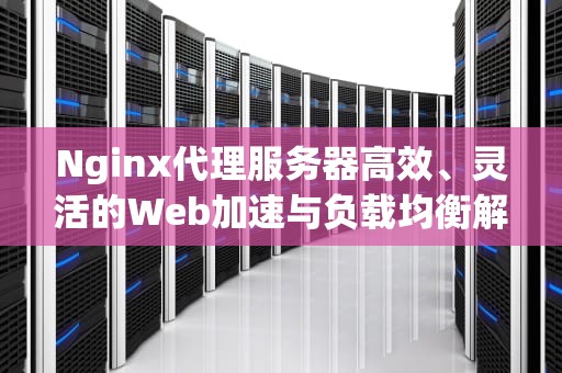 Nginx代理服务器高效、灵活的Web加速与负载均衡解决方案