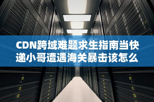 CDN跨域难题求生指南当快递小哥遭遇海关暴击该怎么办？