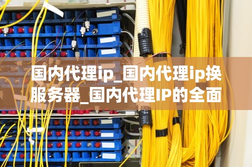 国内代理ip_国内代理ip换服务器_国内代理IP的全面解析