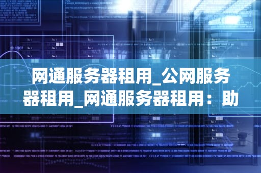 网通服务器租用_公网服务器租用_网通服务器租用：助力企业信息化建设