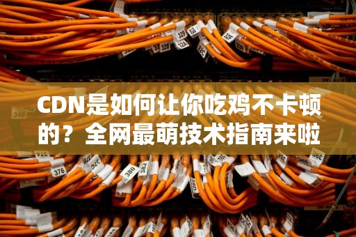 CDN是如何让你吃鸡不卡顿的？全网最萌技术指南来啦！