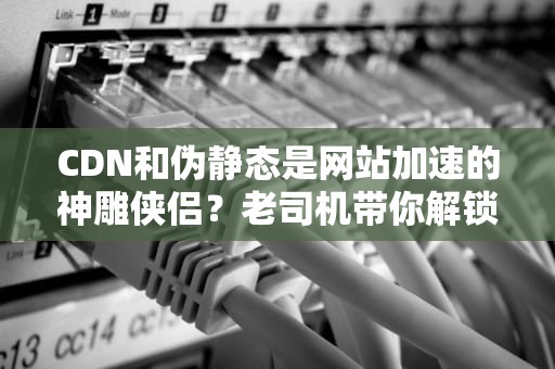 CDN和伪静态是网站加速的神雕侠侣？老司机带你解锁正确姿势！