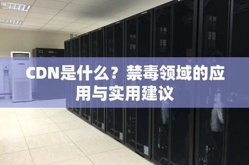 CDN是什么？禁毒领域的应用与实用建议
