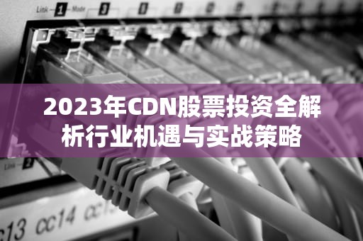 2023年CDN股票投资全解析行业机遇与实战策略