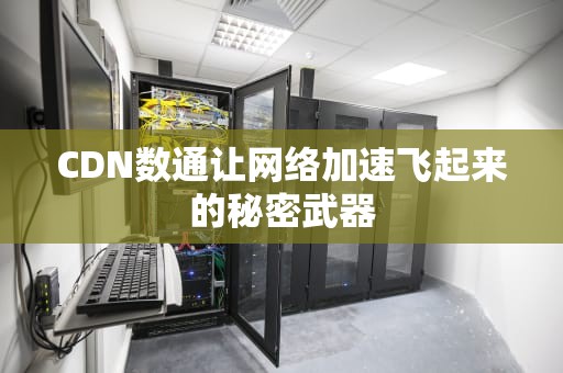 CDN数通让网络加速飞起来的秘密武器