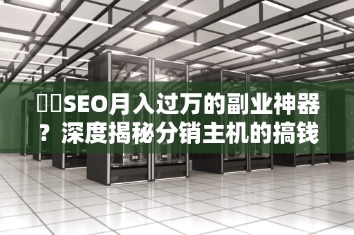 ✍️SEO月入过万的副业神器？深度揭秘分销主机的搞钱套路！VPS羊毛党必看指南