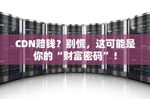 CDN赔钱？别慌，这可能是你的“财富密码”！