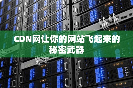 CDN网让你的网站飞起来的秘密武器