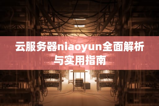 云服务器niaoyun全面解析与实用指南