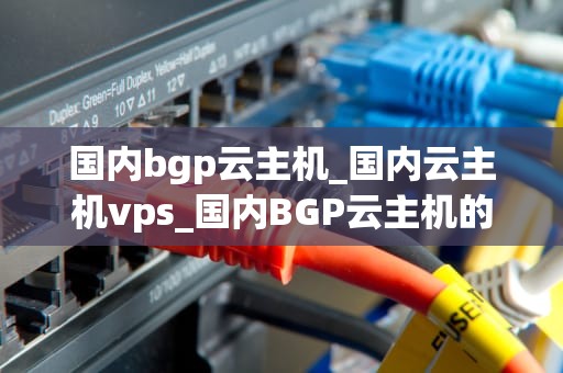 国内bgp云主机_国内云主机vps_国内BGP云主机的发展现状与未来趋势
