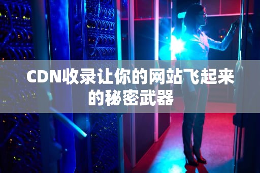 CDN收录让你的网站飞起来的秘密武器