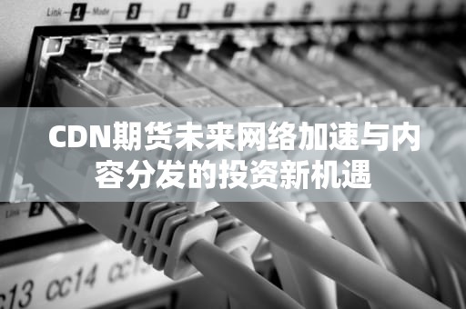 CDN期货未来网络加速与内容分发的投资新机遇