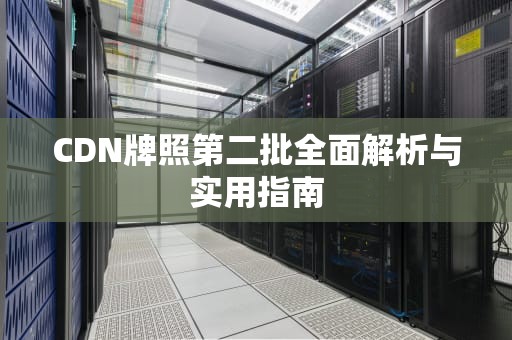 CDN牌照第二批全面解析与实用指南