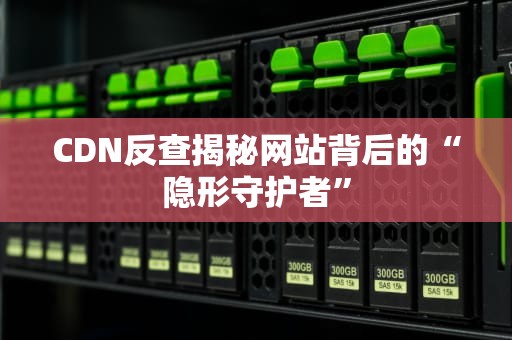 CDN反查揭秘网站背后的“隐形守护者”