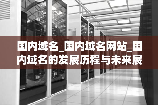 国内域名_国内域名网站_国内域名的发展历程与未来展望
