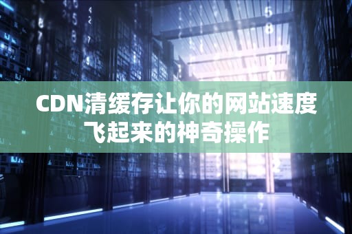 CDN清缓存让你的网站速度飞起来的神奇操作