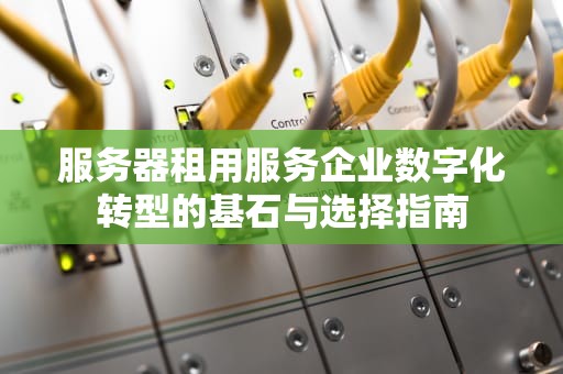 服务器租用服务企业数字化转型的基石与选择指南