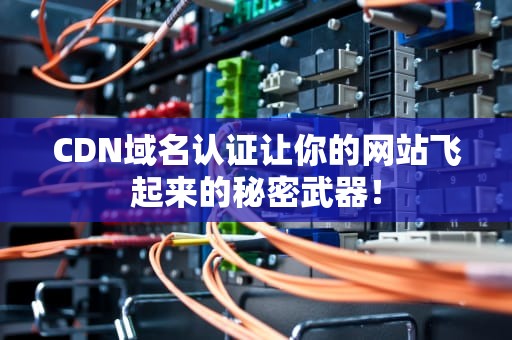 CDN域名认证让你的网站飞起来的秘密武器！