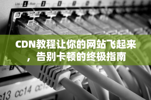 CDN教程让你的网站飞起来，告别卡顿的终极指南