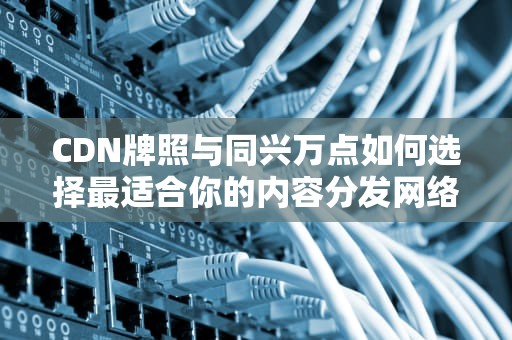 CDN牌照与同兴万点如何选择最适合你的内容分发网络？