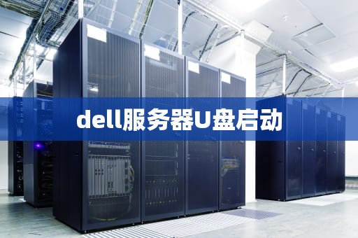 dell服务器U盘启动