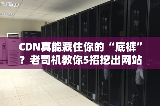 CDN真能藏住你的“底裤”？老司机教你5招挖出网站真实IP