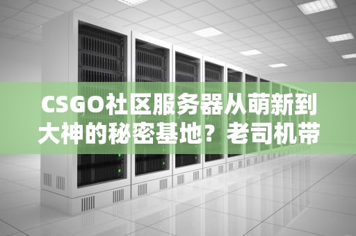 CSGO社区服务器从萌新到大神的秘密基地？老司机带你解锁新姿势！