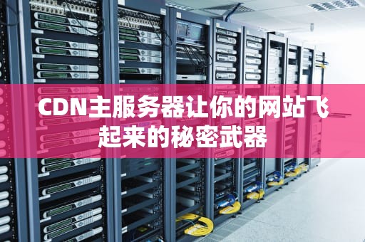 CDN主服务器让你的网站飞起来的秘密武器