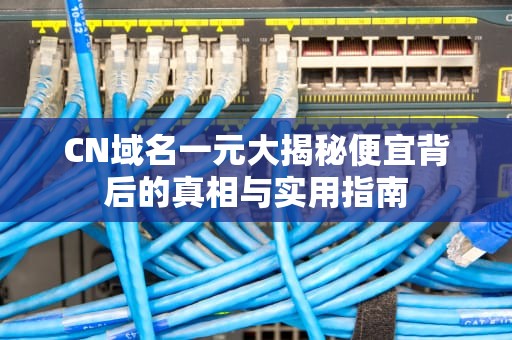 CN域名一元大揭秘便宜背后的真相与实用指南
