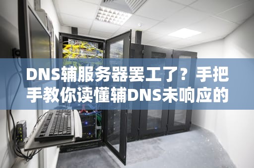 DNS辅服务器罢工了？手把手教你读懂辅DNS未响应的职场潜规则