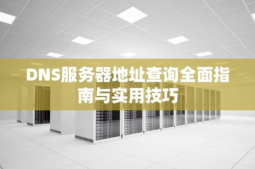 DNS服务器地址查询全面指南与实用技巧