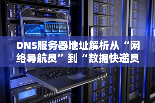 DNS服务器地址解析从“网络导航员”到“数据快递员”的奇妙之旅