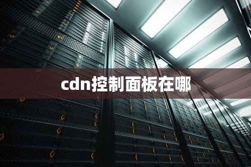 cdn控制面板在哪