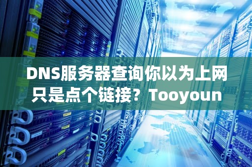 DNS服务器查询你以为上网只是点个链接？Tooyoungtoosimple！