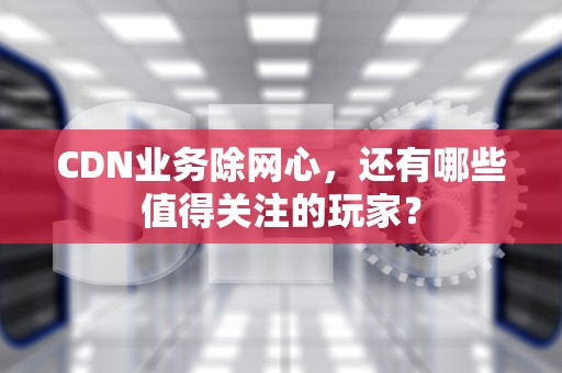 CDN业务除网心，还有哪些值得关注的玩家？