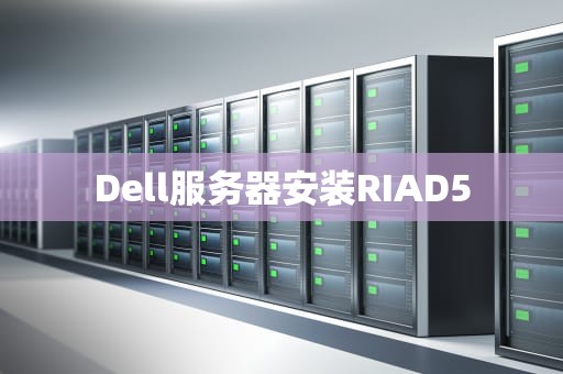 Dell服务器安装RIAD5