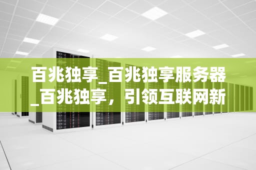百兆独享_百兆独享服务器_百兆独享，引领互联网新时代