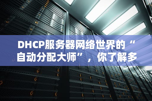 DHCP服务器网络世界的“自动分配大师”，你了解多少？